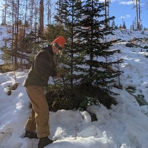 Meet your Posher, yord